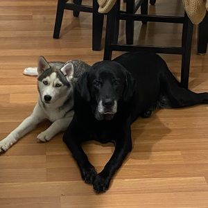 Meet your Posher, Andrew